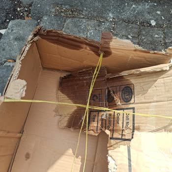 Hasarlı Kargo Teslimatı Ve Yetersiz Müşteri Hizmetleri