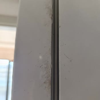 Yeni Alınan Buzdolabında Sürekli Tekrarlayan Lastik Ve Sızıntı Sorunu