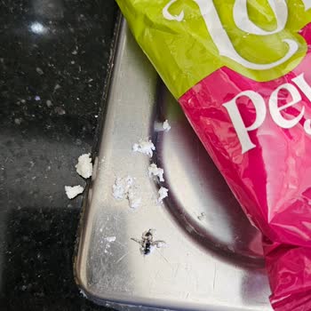 Lor Peynirinde Hijyen Skandalı: Sinek Ve Şişmiş Paket