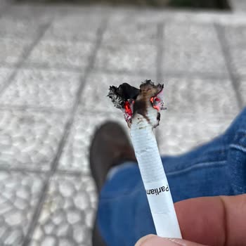 Sigarada Bozulan Tat Ve Düşen Kaliteye Anlam Veremiyorum