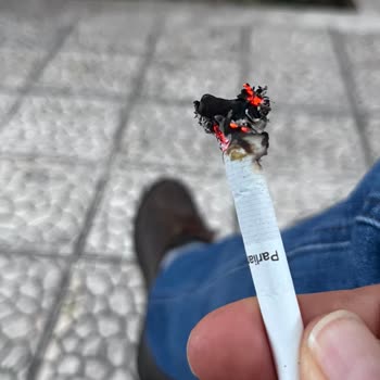 Sigarada Bozulan Tat Ve Düşen Kaliteye Anlam Veremiyorum