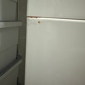 Çamaşır Makinesi Ön Panelinde Garanti Kapsamında Paslanma Ve Belirsiz Servis Süreci