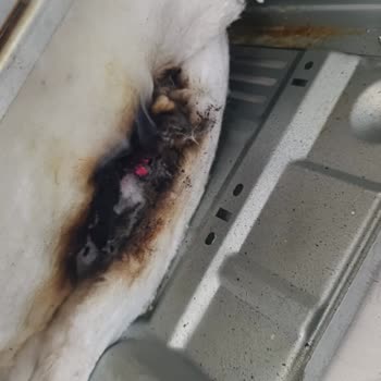 Tamir Sonrası Fırında Yangın Tehlikesi Yaşadık Maddi Kaybımız Karşılanmadı