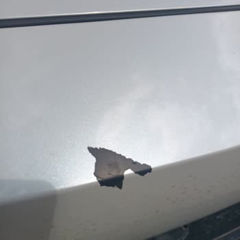 Sıfır Aracımda Kısa Sürede Boya Soyulması Ve Garanti Sorunu