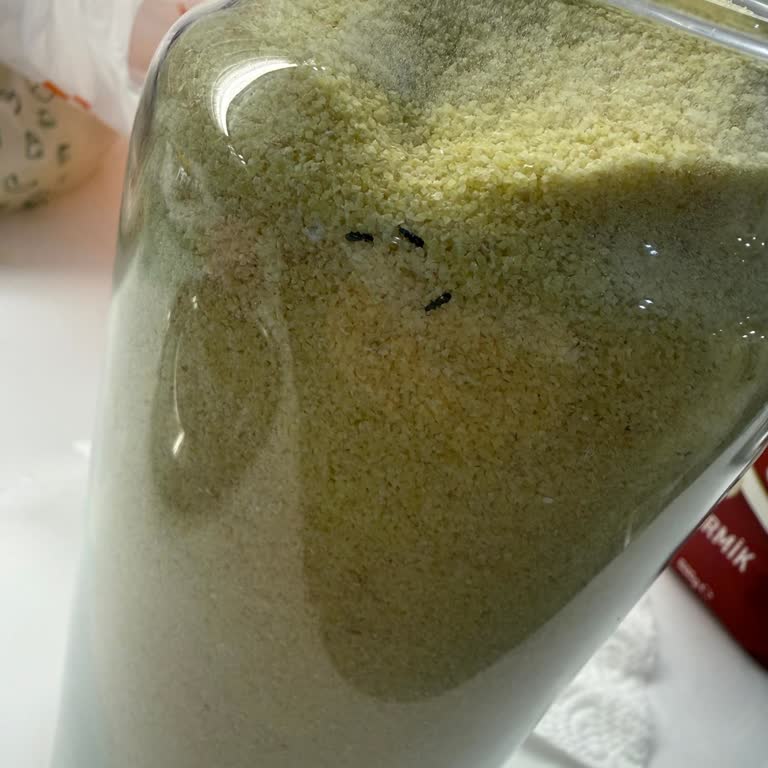 Aldığım Kapalı İrmik Paketinden Böcek Çıktı!