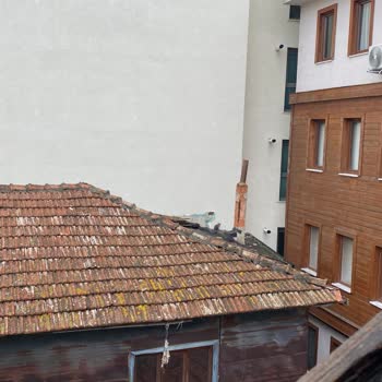 Çatıda Mahsur Kalan Yavru Kediye İtfaiyeden Yetersiz Yardım