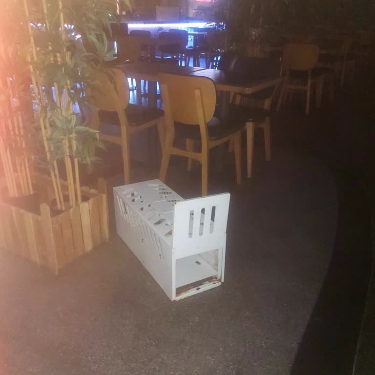 Anatolium Marmara AVM Teras 1. Katında Kedi Kapanlarıyla Karşılaştık