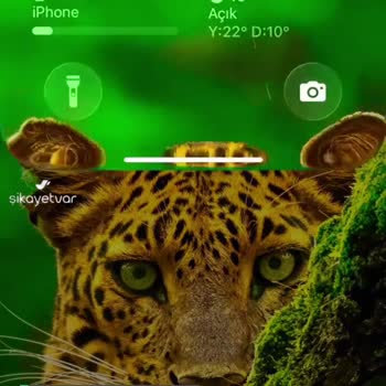 iPhone 13 Soluk Ekran