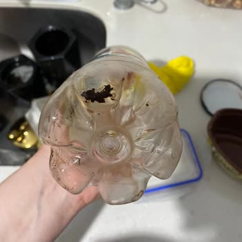 Kızılay Şeftalili Soğuk Çayda Çamurumsu Birikinti Ve Hayal Kırıklığı