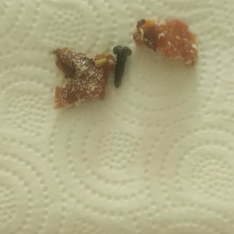 Cezeryeden Paslı Çivi Çıktı: Açıklama Bekliyorum