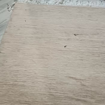 Robot Süpürgem Garanti Biter Bitmez Arızalandı Yetkili Servis Çözüm Sunmuyor