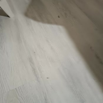 Robot Süpürgem Garanti Biter Bitmez Arızalandı Yetkili Servis Çözüm Sunmuyor