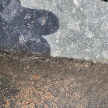 Aldığım Traktörün Lastiklerinde Fabrikasyon Hataları Ve Garanti Sorunu