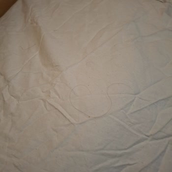 Hotels.com Refused Refund After Unhygienic Stay at Caner Hotel