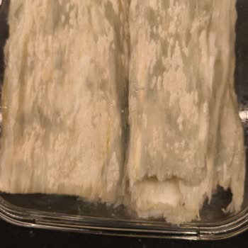 Bozulmuş Peynir Ve Yetersiz Müşteri Hizmeti: Siparişimde Çifte Hayal Kırıklığı