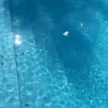 Hijyen Sorunları Nedeniyle Konaklamadan Çıkış Yaptık, Ücretimizin Tamamı İade Edilmedi