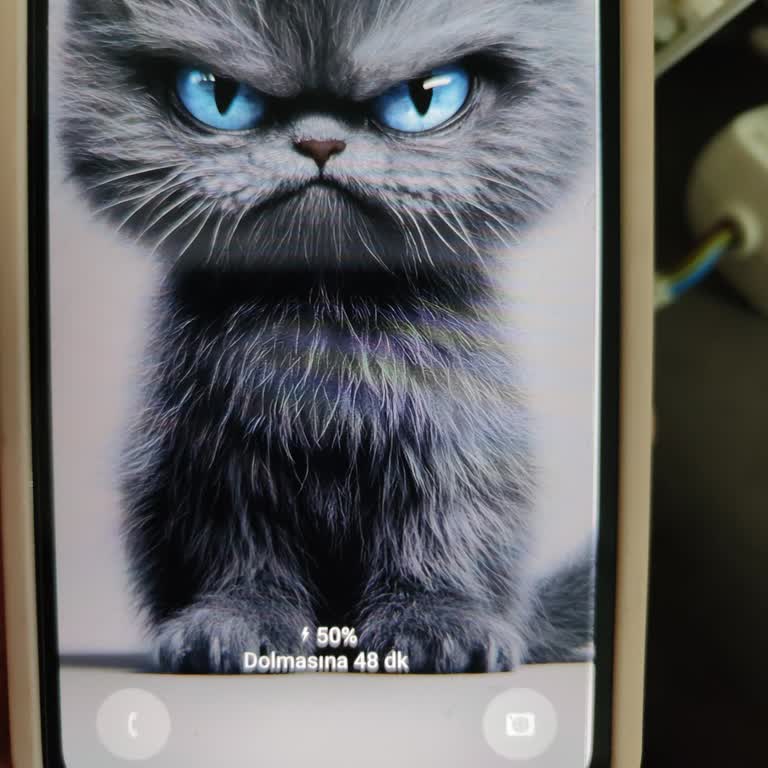 Samsung A34 5g Modelimde Pil Değişimi Sonrası Şarj Sorunları Bitmek Bilmiyor