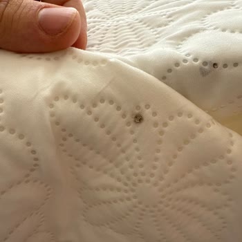 Aldığım Üründe Güvelenme Çıktı, Değişim Talep Ediyorum