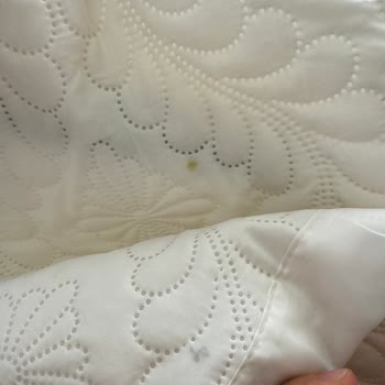 Aldığım Üründe Güvelenme Çıktı, Değişim Talep Ediyorum