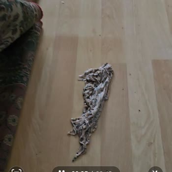 Poliçe Kapsamı Hakkında Eksik Bilgilendirme Ve Hasar Ödemesinde Mağduriyet