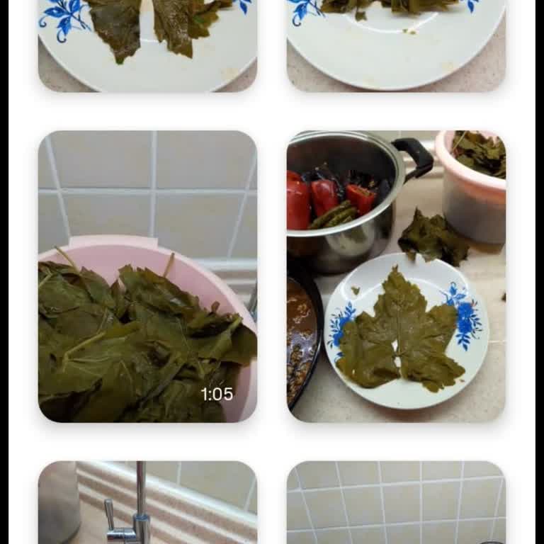 Aldığım Salamura Yapraklar Tamamen Çürük Çıktı, Satıcıya Ulaşamıyorum