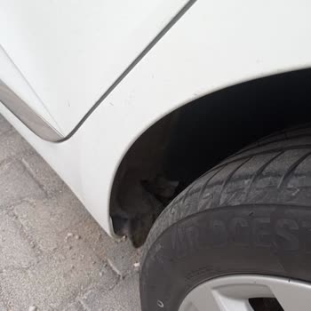 Ekspertiz Raporunda Gizlenen Kusur Ve Ücret İadesi Talebi