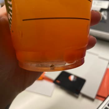 Starbucks Siparişimde Melon Refresha İçinde Sinek Buldum Hijyen Ve İlgi Yok