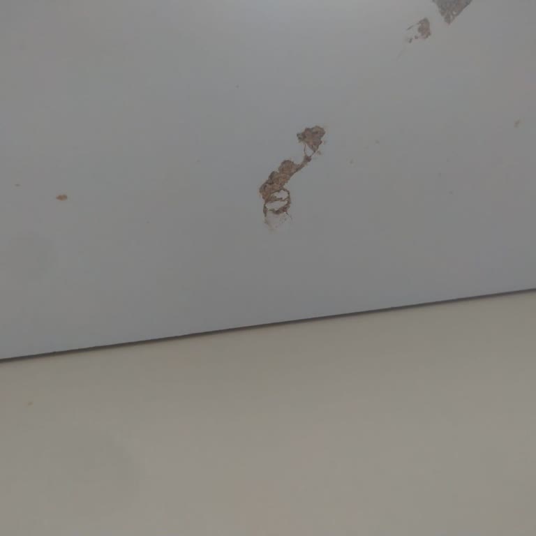 Kırık Gardıroplar, Geciken Teslimat Ve İade Sorunu