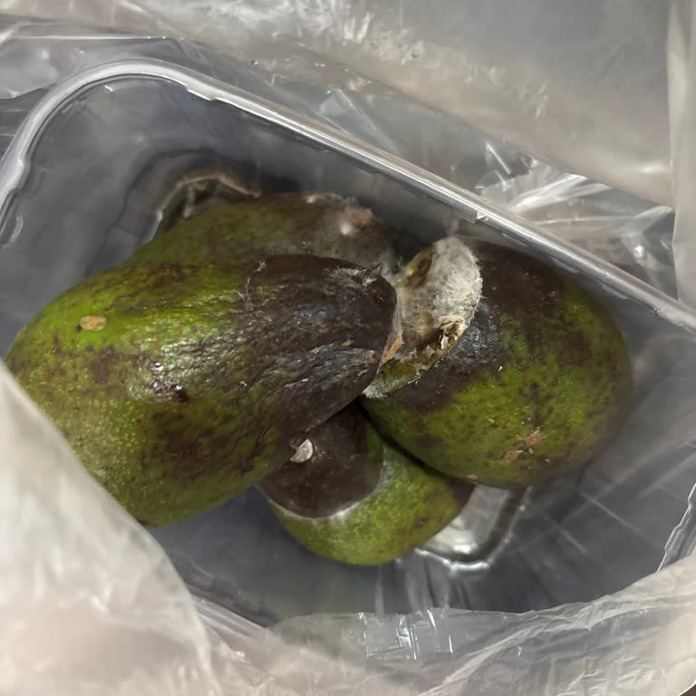 Çürük Avokado Teslimatı Sonrası İade Sürecinde Mağduriyet