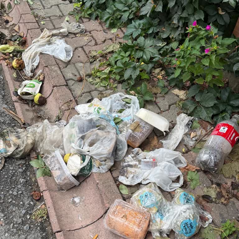 Ümraniye Belediyesi Semir Sokak’ta 2 Yıldır Çözülemeyen Kötü Koku Mağduriyeti