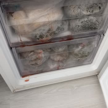 Arçelik Derin Dondurucu Kısa Sürede Tekrarlayan Arıza Ve Mağduriyet