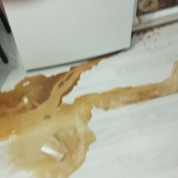 Arçelik Derin Dondurucu Kısa Sürede Tekrarlayan Arıza Ve Mağduriyet