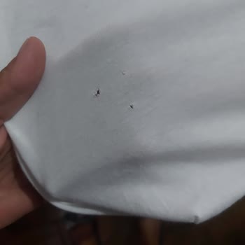 Yeni Alınan Çamaşır Makinesi Sürekli Çamaşırlarda Delik Oluşturuyor, Çözüm Bekliyorum