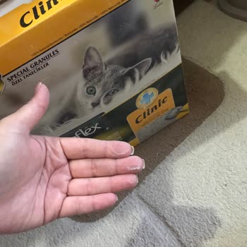 Ezilmiş Ve Tozlu Kedi Kumu İadesinde N11 Müşteri Hizmetleri Mağduriyeti