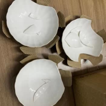 Kırık Teslim Edilen Tabak Ve Yetersiz Çözüm Süreci