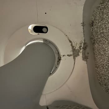 Kedi Tuvaletinden Yayılan Keskin Koku Ve İade Mağduriyeti