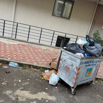 Çöp Konteynerinin Yanlış Konumlandırılması Nedeniyle Yaşanan Mağduriyet