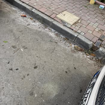 Çöp Konteynerinin Yanlış Konumlandırılması Nedeniyle Yaşanan Mağduriyet