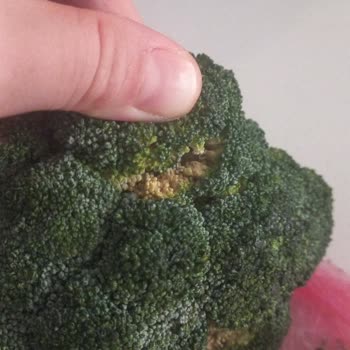 Aldığım Bozuk Brokoliyi İade Edememek Mağduriyet Yaşattı