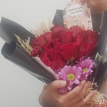 Beklentiyi Karşılamayan Ürün Boyutu ve Yetersiz Destek Şikayeti