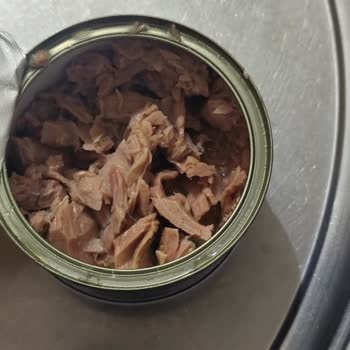 Taze Olmayan Ton Balığı Ve İade Sorunu: Çözüm Bekliyorum