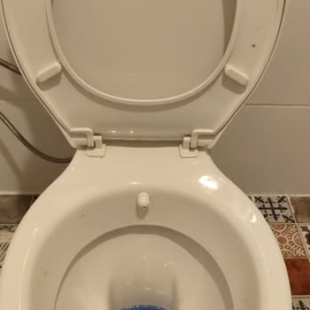 Club Hotel Anjeliq Alanya Temizlik Ve Hizmet Sorunlarıyla Hayal Kırıklığı Yaşadık