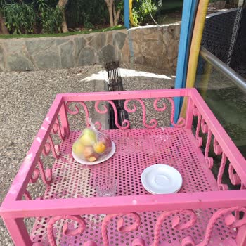 Club Hotel Anjeliq Alanya Temizlik Ve Hizmet Sorunlarıyla Hayal Kırıklığı Yaşadık