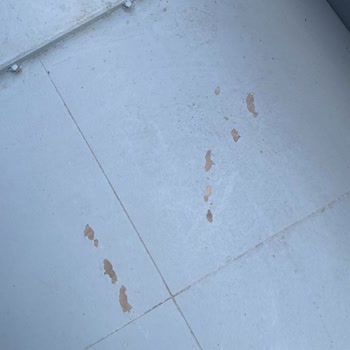 Epoksi Zemin Boyası 7 Günde Söküldü, Garanti Kapsamında Çözüm Sunulmadı