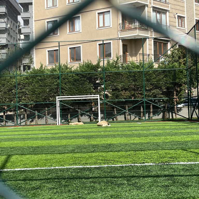 Çekmeköy Belediyesi Küçük Çocuğumla Parkı Kullanamıyorum