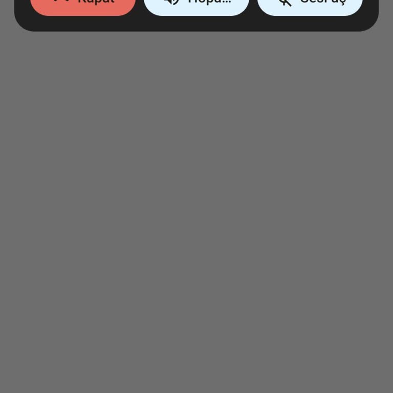 Yüksek Fiyat Ve İlgisizlik Nedeniyle Aboneliğimi İptal Edeceğim