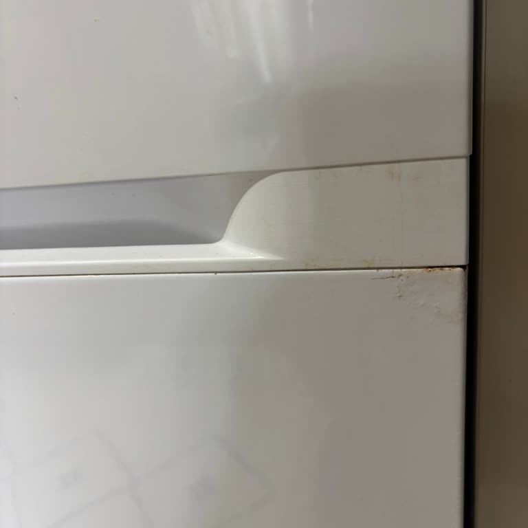 Samsung Bulaşık Makinesi Paslanma Ve Servis Mağduriyeti