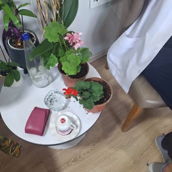 Bitkisatisi.com.tr Troya Çiçekçilik Mağduriyeti