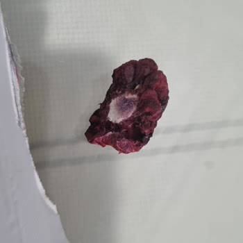 Dondurulmuş Meyvede Küf Ve Sağlık Riski