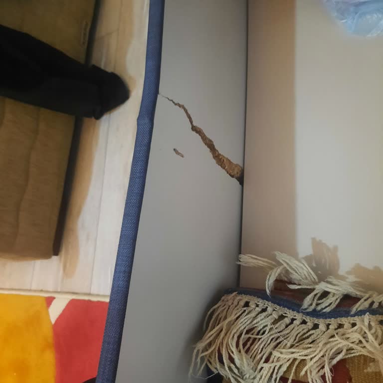 Doğtaş Baza Kısa Sürede Kırıldı Garanti Kapsamı Dışında Bırakıldı